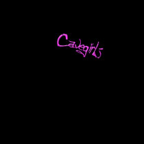 CG Pink&Black Scroll t-shirts