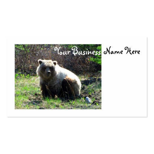 CGB Chubby Grizzly Bear Business Card (front side)