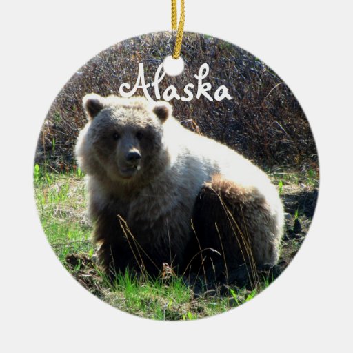 christmas grizzly bear