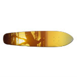 CGCx3 Skate Boards