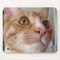 CGK MOUSE PAD