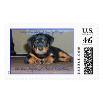 Ch Von Aufstand's Bit O' Rebellion postage by Sholcroft Ch Von Aufstand's Bit O' Rebellion postage