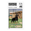 Ch Von Aufstand's Bite Size Mars Bar postage