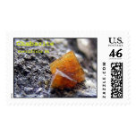 Chabazite