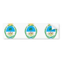 chaco, Argentina bumper stickers by bestflag chaco, Argentina bumper stickers