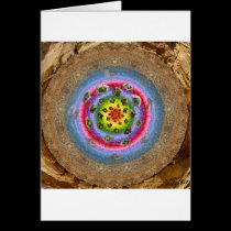 Chaco: Season of the Fertile Earth card, whole cards