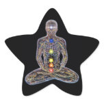 Chacras/Chakras Stickers