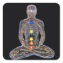 Chacras/Chakras Stickers