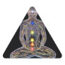 Chacras/Chakras Stickers