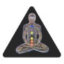 Chacras/Chakras Stickers