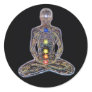 Chacras/Chakras Stickers