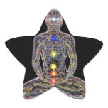 Chacras/Chakras Stickers
