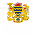 Chad Coat of Arms T-shirt