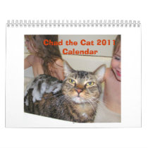 Chad the Cat Calendar 2011