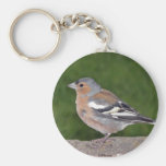 Chaffinch Keychain