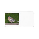 Chaffinch Label