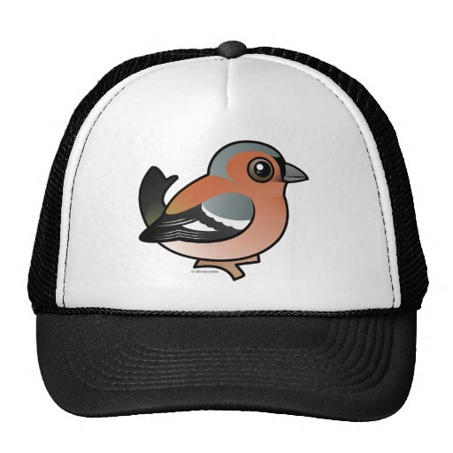 Chaffinch Trucker Hat