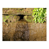 Chagrin Falls (part 2) posters