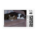 Chair Buddies Stamp