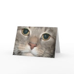 Chairman Meow Greeting Card (blank inside)