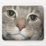 Chairman Meow Mousemat