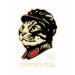 Ladies Destroyed T-Shirt
