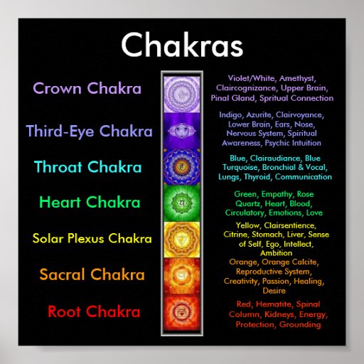 Chakra Associations Poster Zazzle 