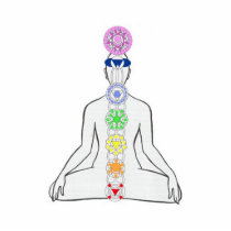 Chakra Diagram photo sculptures