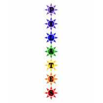 "Chakras" Pilates Tee t-shirts
