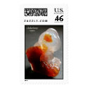 Chalcedony postage by Minpics Chalcedony postage