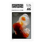 Chalcedony  stamp