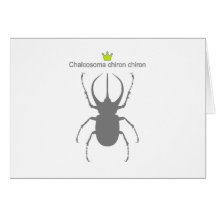 Chalcosoma chiron chiron cards
