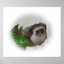 Chalice the Hedgehog Print
