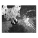 Chalk and tutus photography