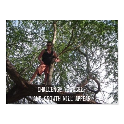 Challenge yourself... posters by seashell2