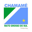 Chamamé Mato Grosso do Sul shirt