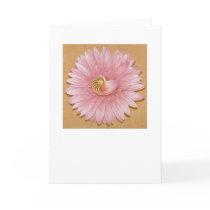 Chambered Nautilus & Pink flower cards by briancody Chambered Nautilus & Pink flower cards