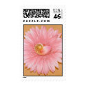 Chambered Nautilus & Pink Flower postage