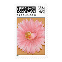 Chambered Nautilus & Pink Flower postage