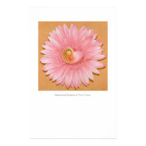 Chambered Nautilus & Pink Flower posters