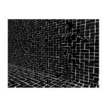 Chamelea posters by digitalblasphemy Chamelea posters