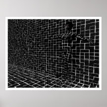 Chamelea Poster