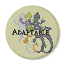 Chameleon Adaptable Refrigerator Magnets
