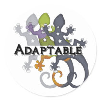 Chameleon Adaptable stickers