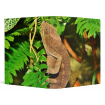 Chameleon Camouflaging Brown Binders