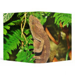 Chameleon Camouflaging Brown Binders
