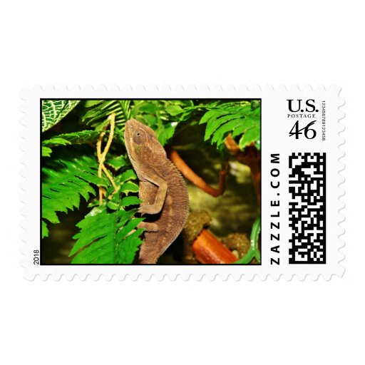 Chameleon Camouflaging Brown Postage
