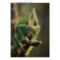 Chameleon Greeting Card