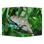 Chameleon changing in green environment 3 ring binders
