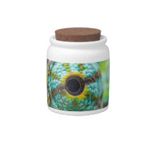 Chameleon eye candy jars